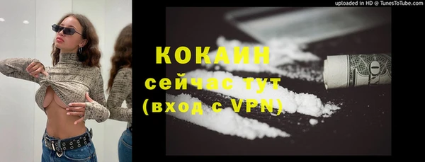 дживик Козловка
