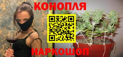 стафф Гусев