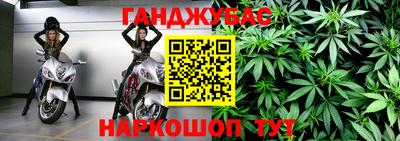 стафф Гусев
