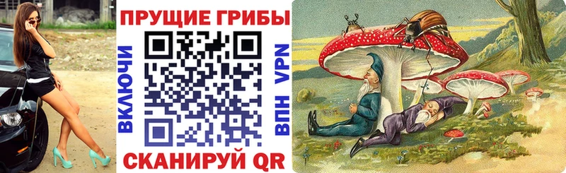 Псилоцибиновые грибы Psilocybe  Коломна 