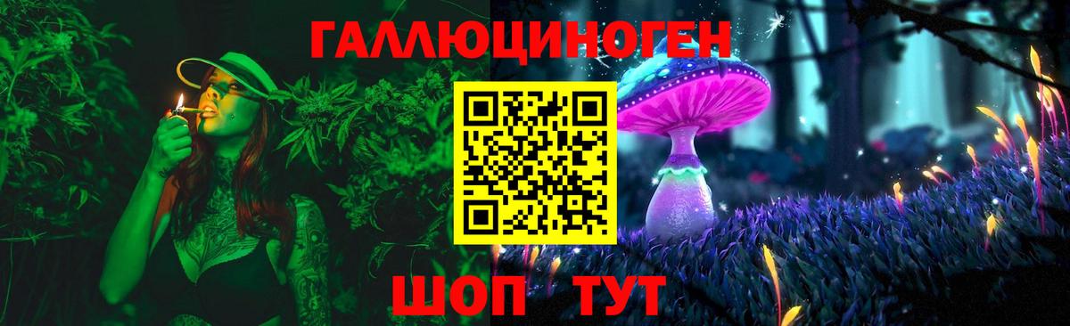 Псилоцибиновые грибы Psilocybe  Вход с VPN  Коломна 